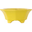 Pot à bonsaï octogonal craquelé jaune de Shozan - 130 x 130 x 55 mm
