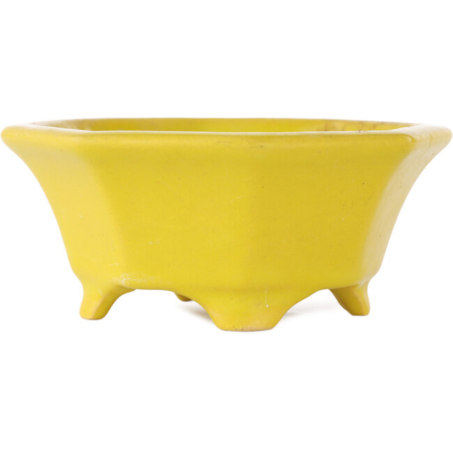 Pot à bonsaï octogonal craquelé jaune de Shozan - 130 x 130 x 55 mm