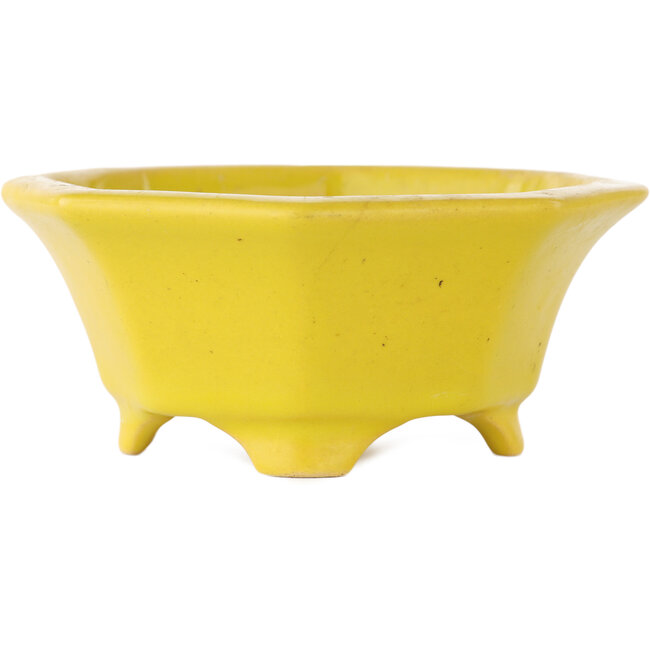 Vaso bonsai ottagonale giallo craquelé di Shozan - 130 x 130 x 55 mm