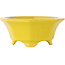 Octagonal yellow craquelé bonsai pot by Shozan - 130 x 130 x 55 mm