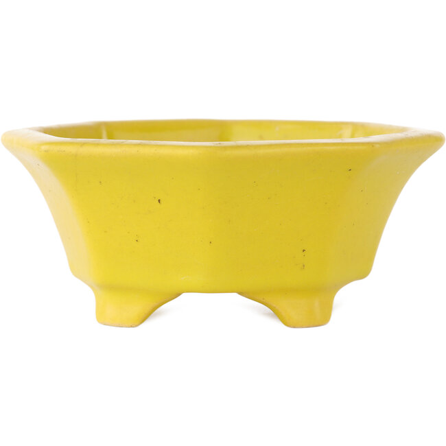 Maceta para bonsái craquelada amarilla octogonal de Shozan - 130 x 130 x 55 mm