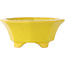 Pot à bonsaï octogonal craquelé jaune de Shozan - 130 x 130 x 55 mm