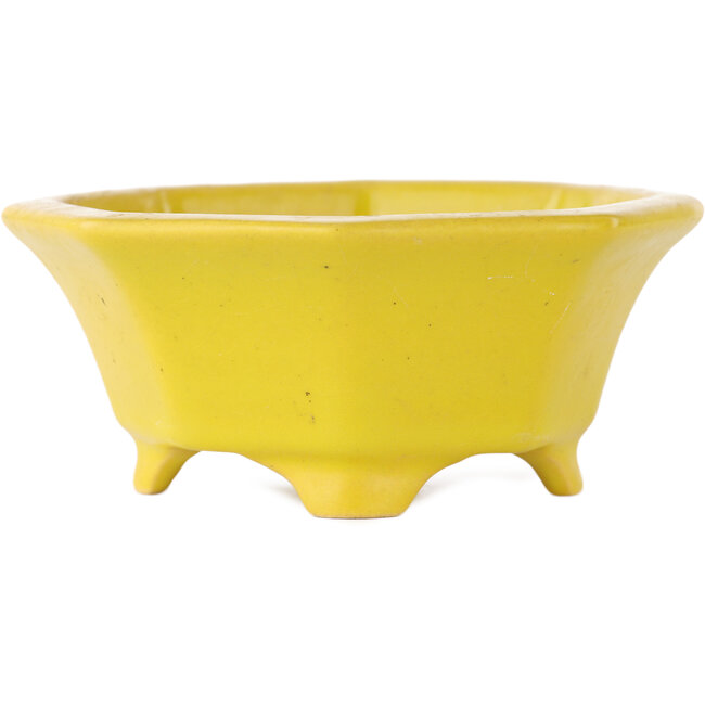 Vaso bonsai ottagonale giallo craquelé di Shozan - 130 x 130 x 55 mm