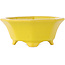 Pot à bonsaï octogonal craquelé jaune de Shozan - 130 x 130 x 55 mm