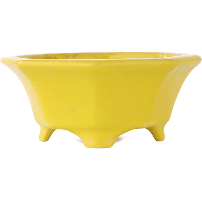 Octagonal yellow craquelé bonsai pot by Shozan - 130 x 130 x 55 mm