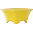 Pot à bonsaï octogonal craquelé jaune de Shozan - 130 x 130 x 55 mm