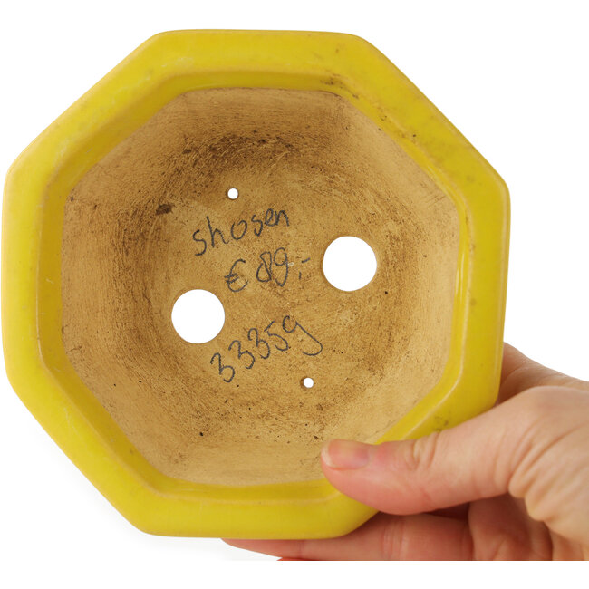 Octagonal yellow craquelé bonsai pot by Shozan - 130 x 130 x 55 mm