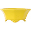Pot à bonsaï octogonal craquelé jaune de Shozan - 130 x 130 x 57 mm