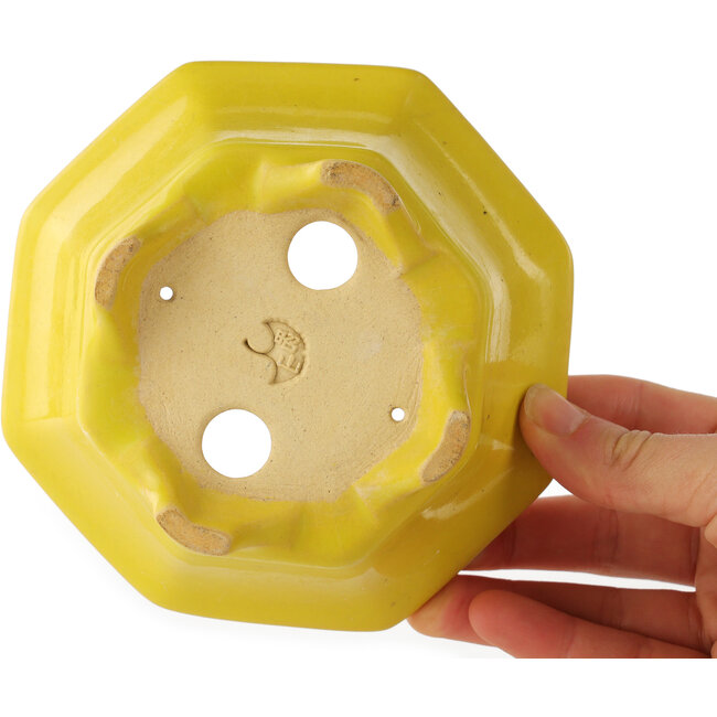 Pot à bonsaï octogonal craquelé jaune de Shozan - 130 x 130 x 55 mm