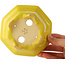 Pot à bonsaï octogonal craquelé jaune de Shozan - 130 x 130 x 55 mm