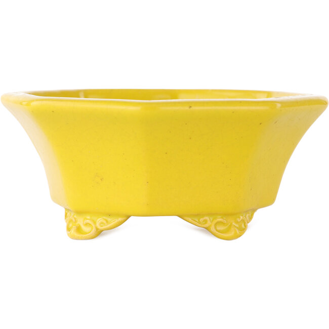 Maceta para bonsái craquelada amarilla octogonal de Shozan - 130 x 130 x 57 mm