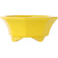 Pot à bonsaï octogonal craquelé jaune de Shozan - 130 x 130 x 57 mm
