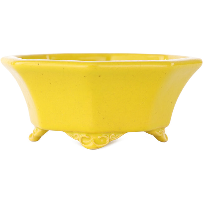 Vaso bonsai ottagonale giallo craquelé di Shozan - 130 x 130 x 57 mm