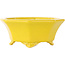 Pot à bonsaï octogonal craquelé jaune de Shozan - 130 x 130 x 57 mm