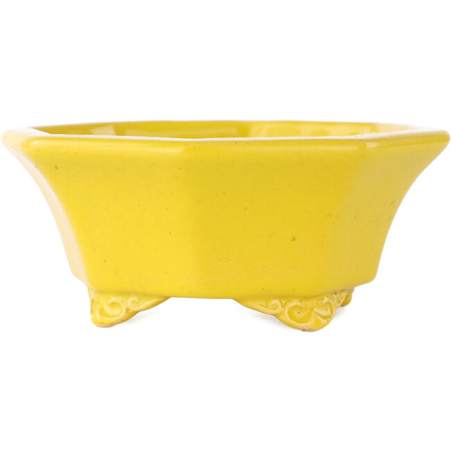 Maceta para bonsái craquelada amarilla octogonal de Shozan - 130 x 130 x 57 mm
