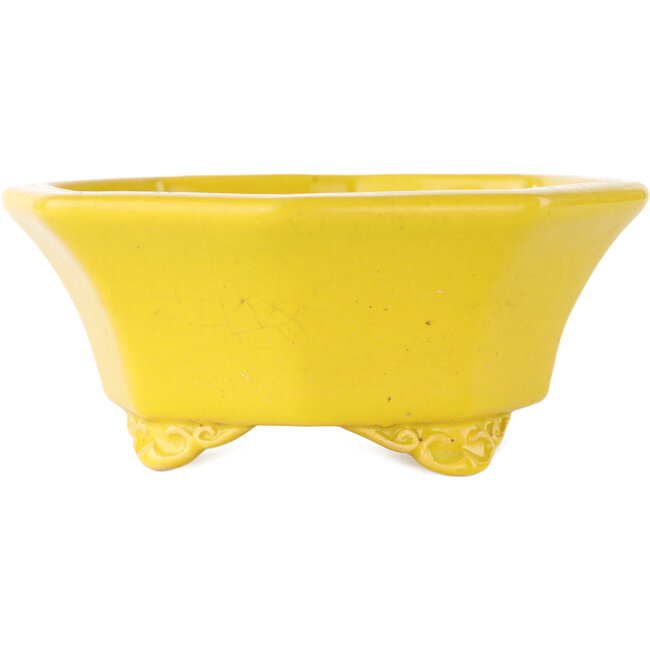 Maceta para bonsái craquelada amarilla octogonal de Shozan - 130 x 130 x 57 mm