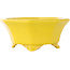 Pot à bonsaï octogonal craquelé jaune de Shozan - 130 x 130 x 57 mm