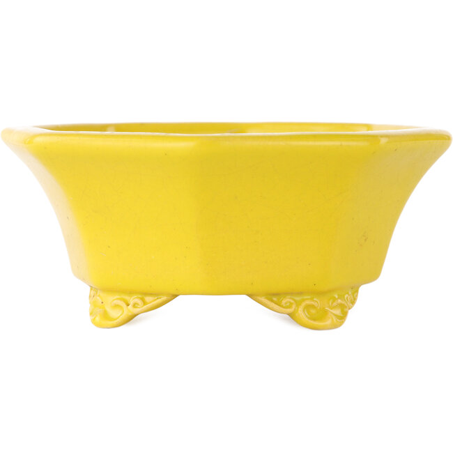 Maceta para bonsái craquelada amarilla octogonal de Shozan - 130 x 130 x 57 mm