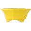 Pot à bonsaï octogonal craquelé jaune de Shozan - 130 x 130 x 57 mm