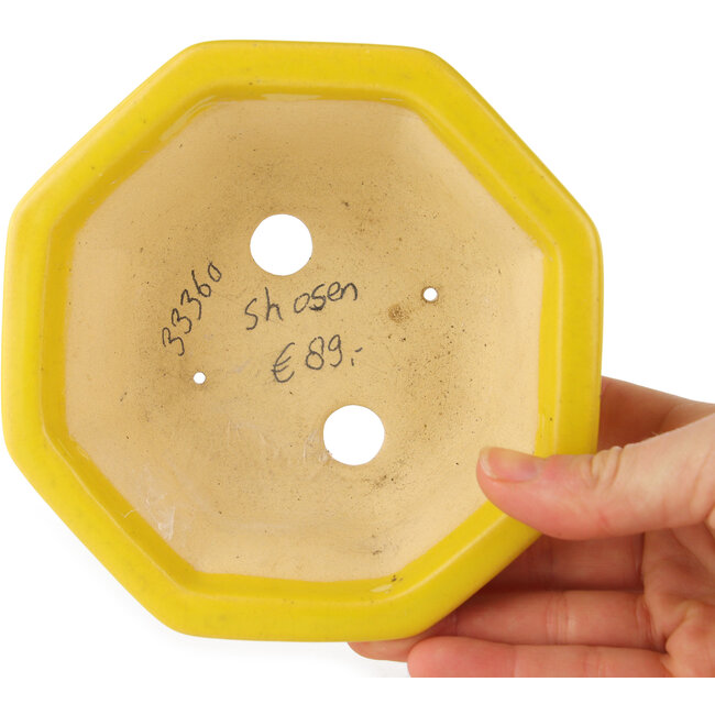 Pot à bonsaï octogonal craquelé jaune de Shozan - 130 x 130 x 57 mm