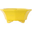 Octagonal yellow craquelé bonsai pot by Shozan - 130 x 130 x 57 mm