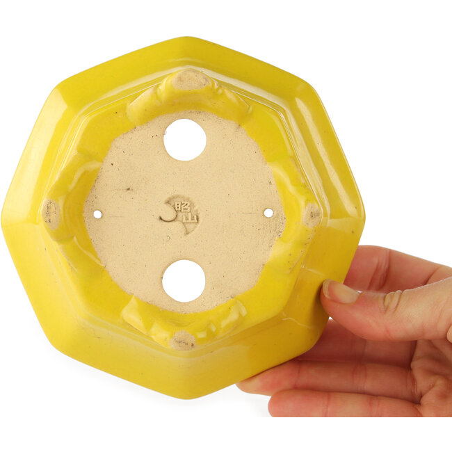 Maceta para bonsái craquelada amarilla octogonal de Shozan - 130 x 130 x 57 mm