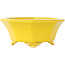 Pot à bonsaï octogonal craquelé jaune de Shozan - 130 x 130 x 57 mm