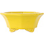 Pot à bonsaï octogonal craquelé jaune de Shozan - 130 x 130 x 57 mm