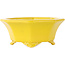 Pot à bonsaï octogonal craquelé jaune de Shozan - 130 x 130 x 57 mm