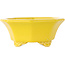 Pot à bonsaï octogonal craquelé jaune de Shozan - 130 x 130 x 57 mm