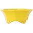 Pot à bonsaï octogonal craquelé jaune de Shozan - 130 x 130 x 57 mm