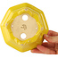 Pot à bonsaï octogonal craquelé jaune de Shozan - 130 x 130 x 57 mm