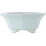 Pot à bonsaï octogonal bleu de Shozan - 130 x 130 x 55 mm