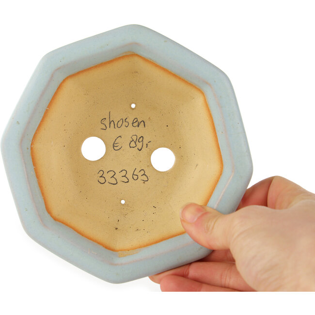 Maceta octogonal azul para bonsái de Shozan - 130 x 130 x 55 mm
