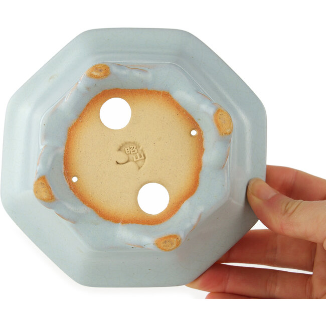 Maceta octogonal azul para bonsái de Shozan - 130 x 130 x 55 mm