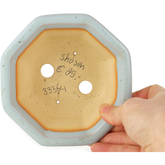 Octagonal blue bonsai pot by Shozan - 130 x 130 x 55 mm
