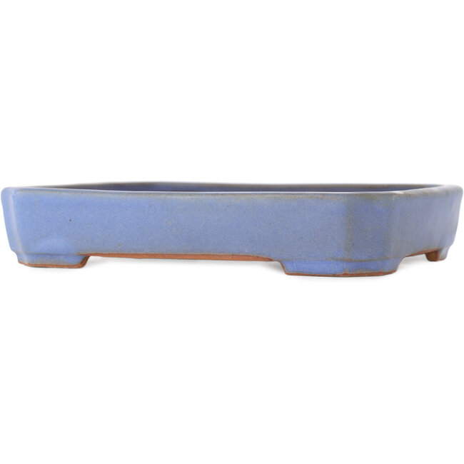 Vaso bonsai rettangolare blu di Yamafusa - 160 x 130 x 30 mm
