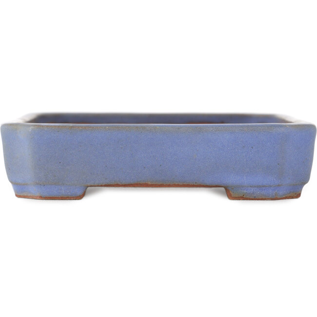 Vaso bonsai rettangolare blu di Yamafusa - 160 x 130 x 30 mm