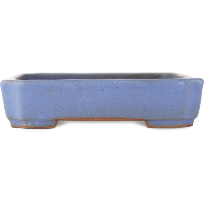 Vaso bonsai rettangolare blu di Yamafusa - 160 x 130 x 30 mm