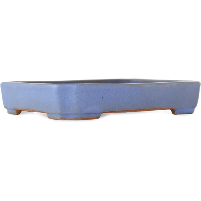 Rechteckiger blauer Bonsai-Topf von Yamafusa - 160 x 130 x 30 mm