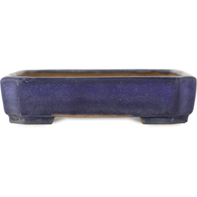 Maceta rectangular azul para bonsái de Yamafusa - 157 x 125 x 30 mm