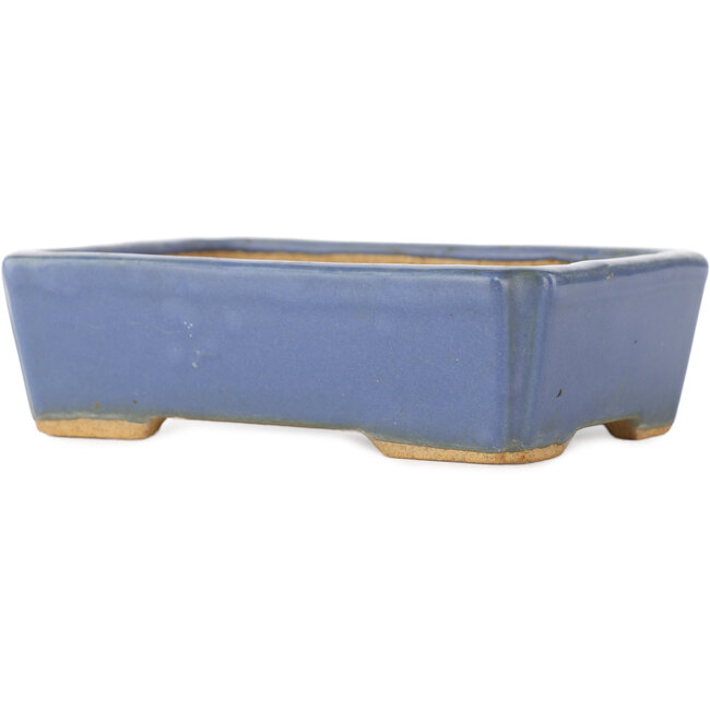 Pot à bonsaï rectangulaire bleu par Hattori - 130 x 90 x 40 mm