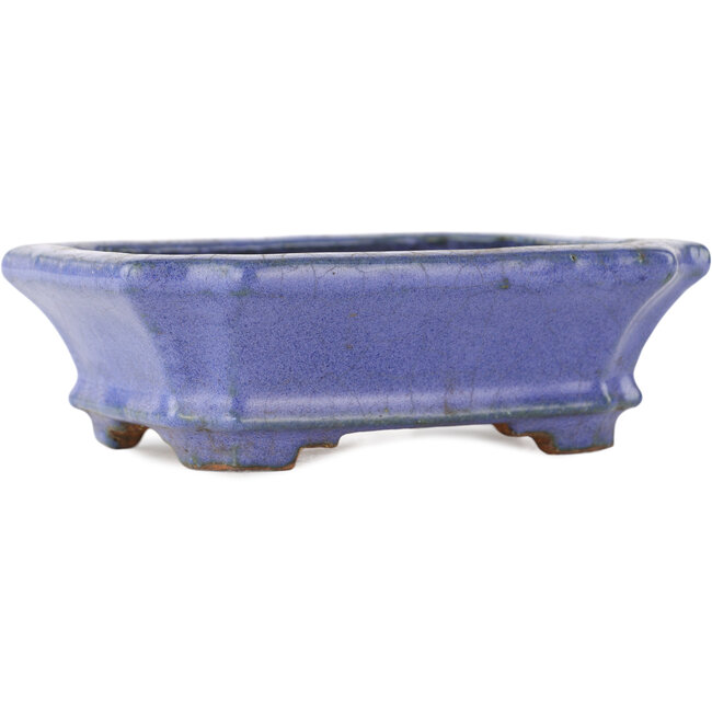 Pot à bonsaï rectangulaire bleu par Hattori - 145 x 110 x 45 mm