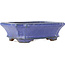 Maceta rectangular azul para bonsái de Hattori - 145 x 110 x 45 mm