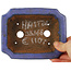 Maceta rectangular azul para bonsái de Hattori - 145 x 110 x 45 mm