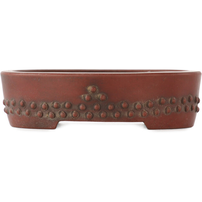 Maceta para bonsái ovalada sin esmaltar de Bigei - 93 x 70 x 25 mm