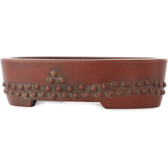 Pot à bonsaï ovale non émaillé de Bigei - 93 x 70 x 25 mm