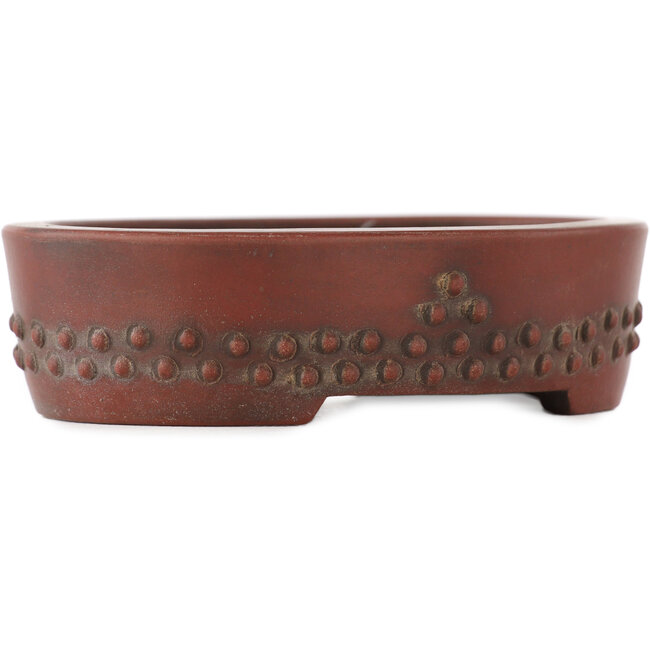 Pot à bonsaï ovale non émaillé de Bigei - 93 x 70 x 25 mm