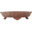 Pot à bonsaï Lotus non émaillé - 150 x 150 x 35 mm