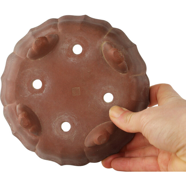 Vaso bonsai Lotus non smaltato - 150 x 150 x 35 mm